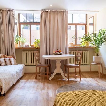 Cozy Suite With Inner Yard 维尔纽斯 外观 照片